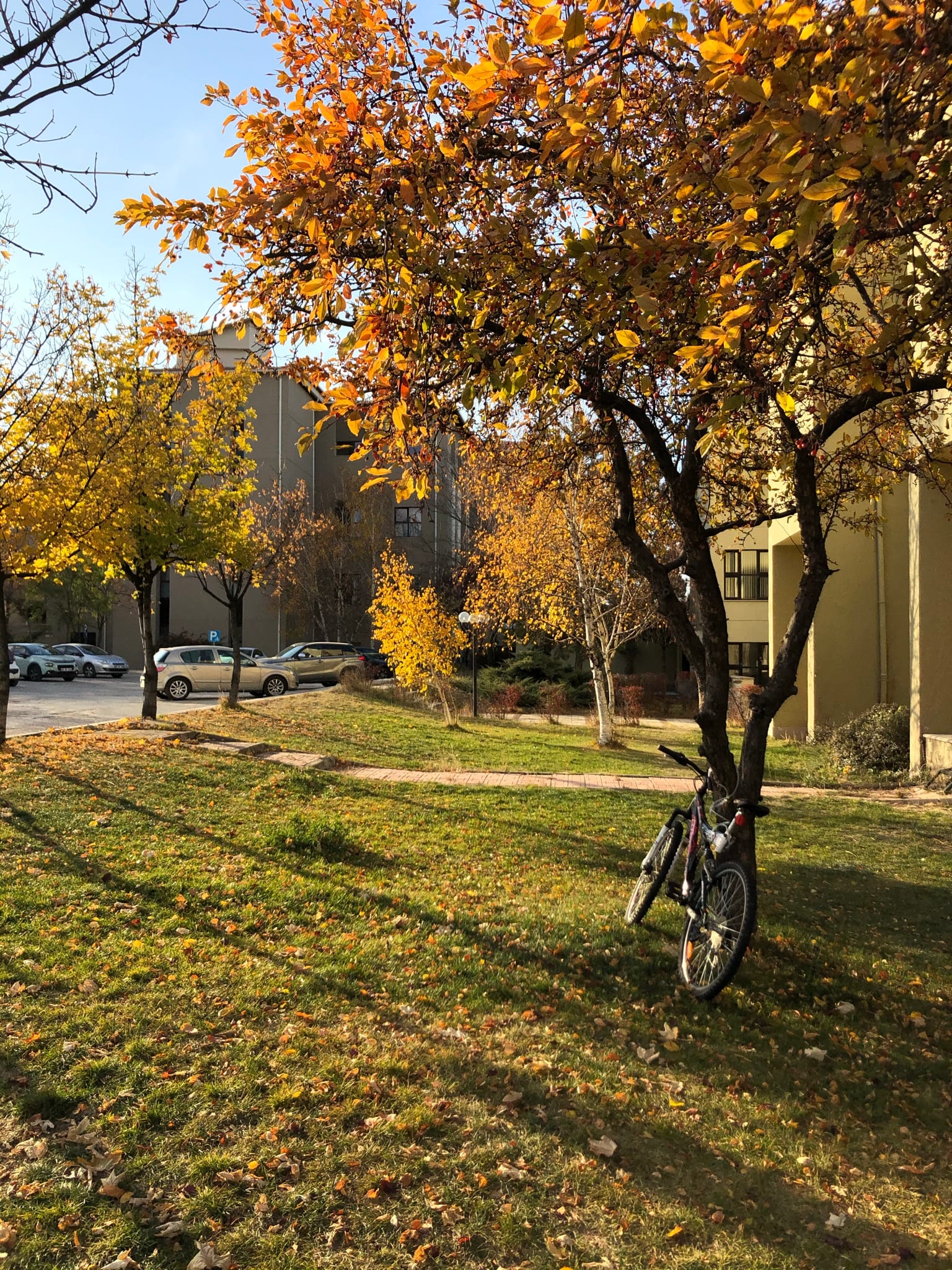 Bilkent University during Fall 2020