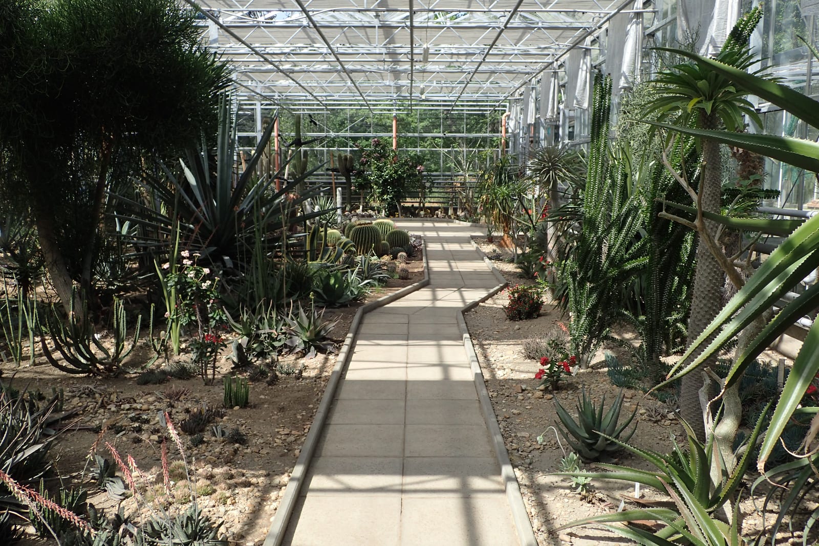 Botanical Garden of the University of Debrecen